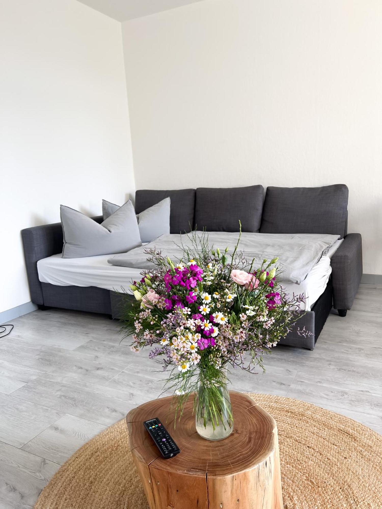 Apartment Suennanbeter Mit Pool Fuer 2-4 Personen 达默 外观 照片